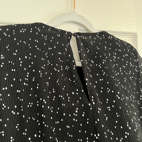Zara sheer polka dot top. - Picture 4 of 4